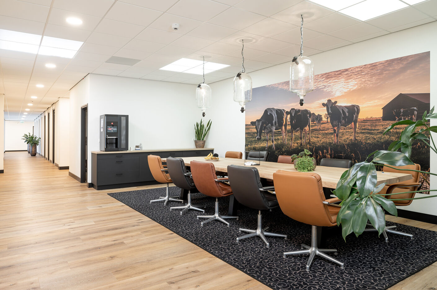 VEN-_pho5404project-Alpuro-LR-37